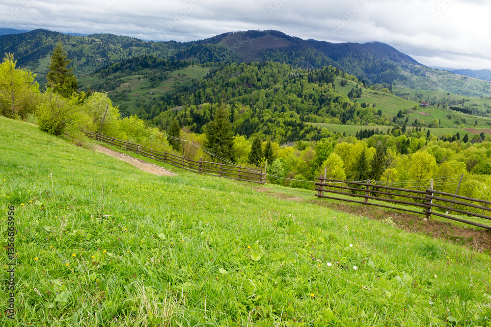 carpathian countryside scenery with forested mountains. rural landscape. path through green grassy meadow on the hills. cloudy weather in springtime. natural environment