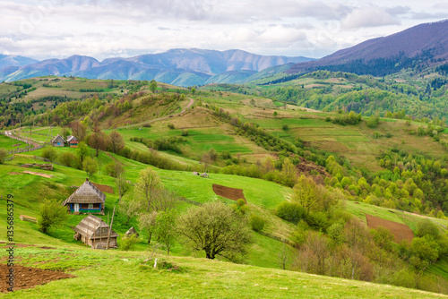 beautiful countryside of ukraine. cloudy morning. wonderful springtime landscape in mountains. grassy field and rolling hills. rural scenery