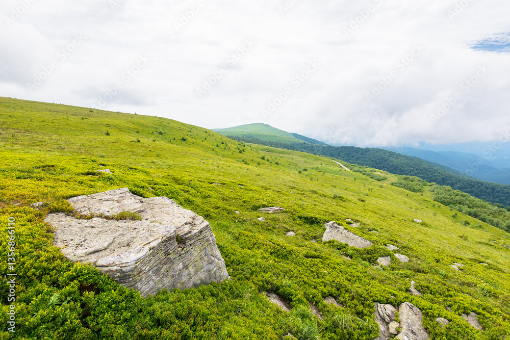 alpine landscape in summer. cloudy weather. scenery in carpathian mountains of ukraine. stones on the grassy hills and meadows