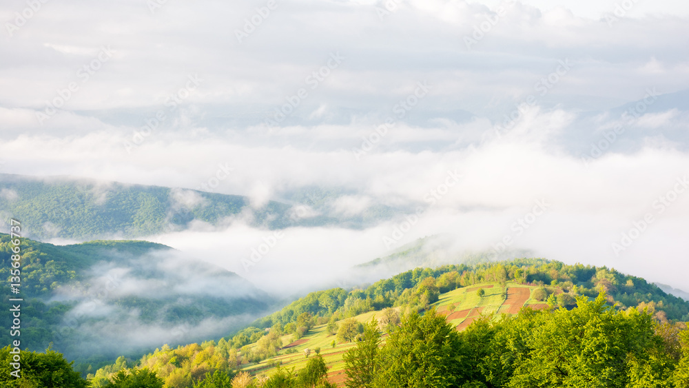 morning fog in mountains. open vista. countryside landscape in spring. breathtaking nature environment. green slope