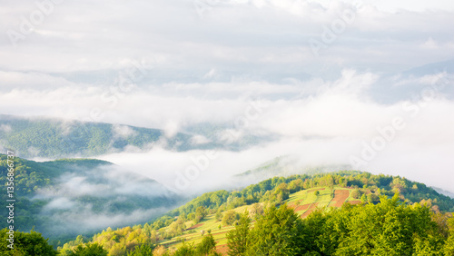 Obraz na płótnie morning fog in mountains. open vista. countryside landscape in spring. breathtaking nature environment. green slope w salonie