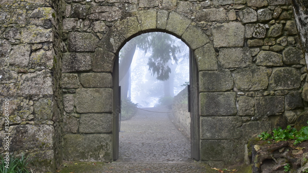 Fototapeta premium Arched Castle Gate with Atmospheric Mist through the Opening