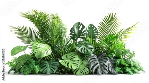 Vibrant Tropical Plants Bush Collection