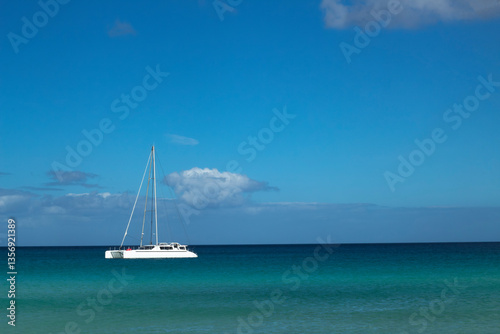 
Luxury catamaran yacht anchored in turquoise tropical sea under clear blue sky.