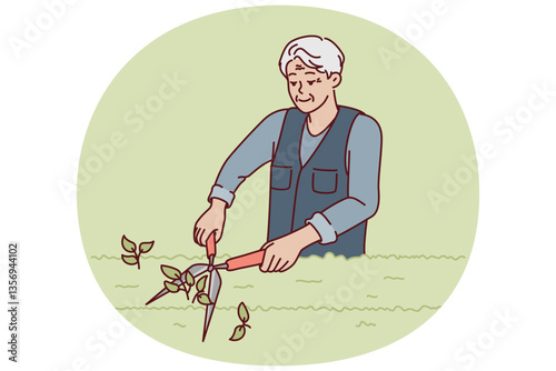 Elderly man gardener is pruning bushes in park using large tree shears. Gray-haired old gardener works on landscaping garden or city area and cuts off extra branches from vegetation