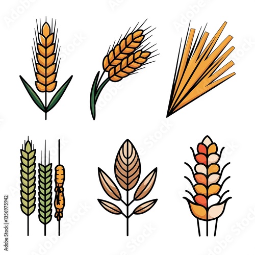 Illustration of various types of wheat and grain stalks
