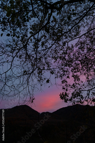 Peaceful Evening Sky with Tree Shadows and Mountain Views