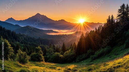 Majestic sunrise over misty mountain valley, lush forest, and meadow