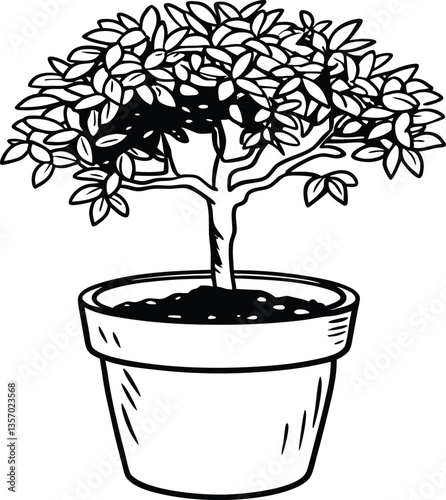 vector illustration of a bonsai tree