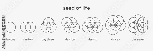 Seed of life steps of creation. New life born day by day.