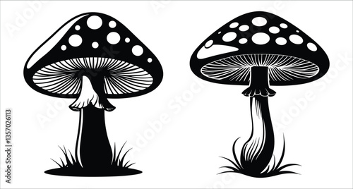 Nature and forest mushroom silhouettes vector. Mushroom silhouettes vector elements. Vector mushroom silhouettes design. Botanical mushroom silhouettes vector elements