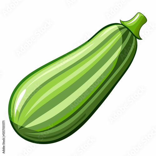 Fresh zucchini vector for healthy cooking, gardening, and vegetable illustrations.
