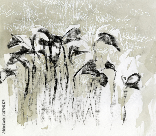 Obraz na plátně Dried flowers on light-green background