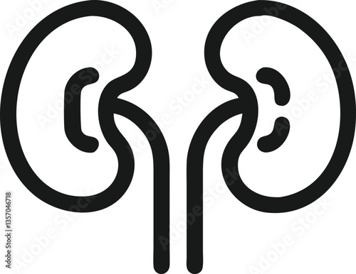 Simple Line Art Illustration of Human Kidneys