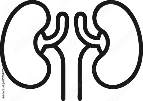 Simple Line Art Illustration of Human Kidneys