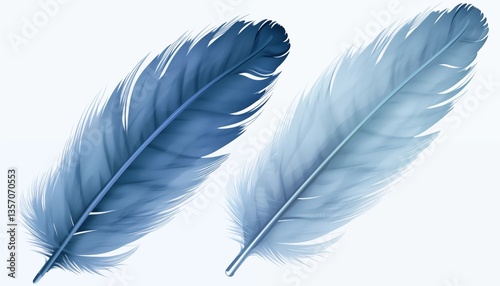 blue feathers