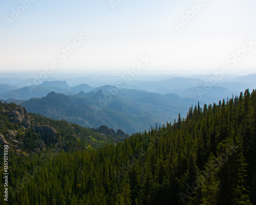 mountains in the fog