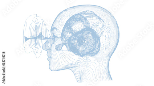 The image is an abstract, stylized depiction of a human head in profile view. The head is rendered in shades of light blue, with a semi-transparent quality, giving the impression of an x-ray or