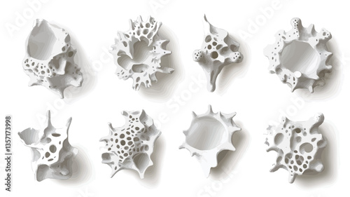 High-angle, close-up shot of eight small, white, ceramic sculptures arranged in a grid pattern against a clean white background.  The sculptures are all abstract and organic in form, featuring