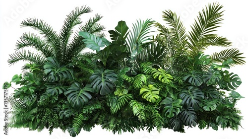 Tropical Greenery Collection