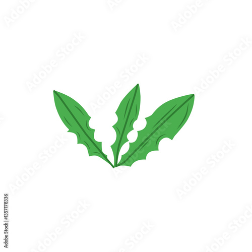 dandelion leaf vector