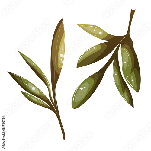 Olive leaves and green fruit branch in minimal style.