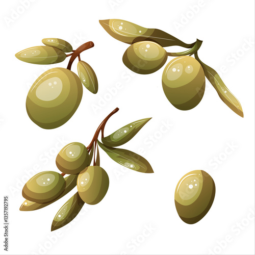  Fresh green olives on branch isolated on white background.