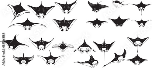 Set of manta ray silhouette 