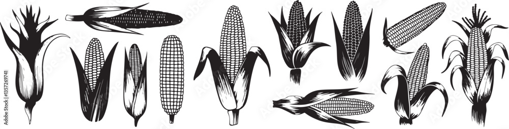 Naklejka premium Collection of Corn silhouette