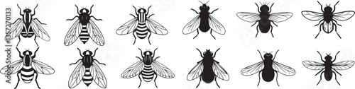 set of fly silhouette 