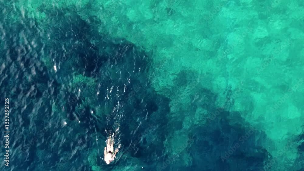 Aerial footage of a man swimming in the clear sea on a sunny bright day