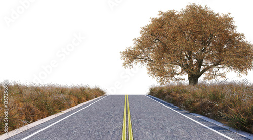 3D Render Scenic Road Passing Through Grass Field with Big Autumn Trees on Transparent Background
