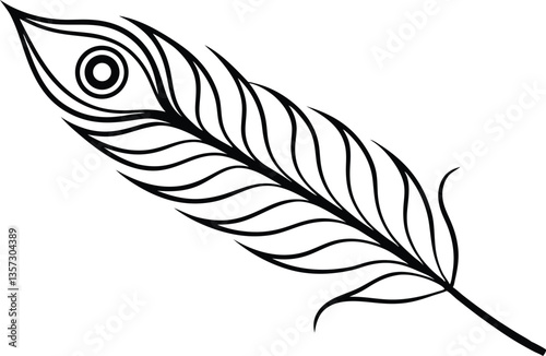 Peacock feather outline vector art,Peacock feather vector