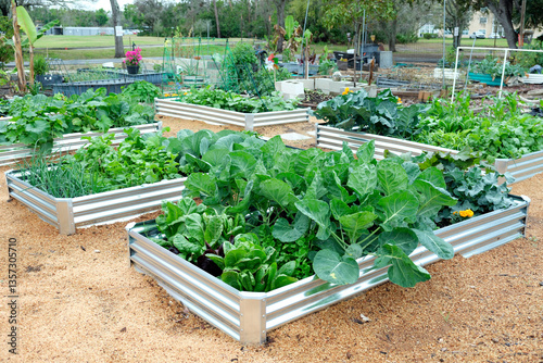 A vegetable garden featuring galvanized metal raised garden beds and wood shaving for mulch, a low maintenance ground cover.