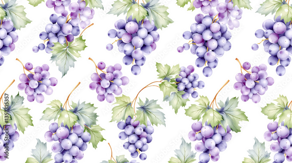 Watercolor grape on the white background