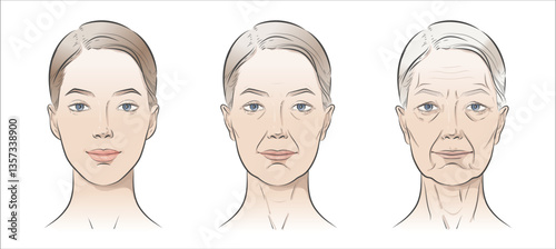 Woman’s face sketch, line vector drawing illustration, contrasting youth and age. Minimalist black-and-white design in realistic style, perfect for skincare ads, anti-aging campaigns, beauty concept