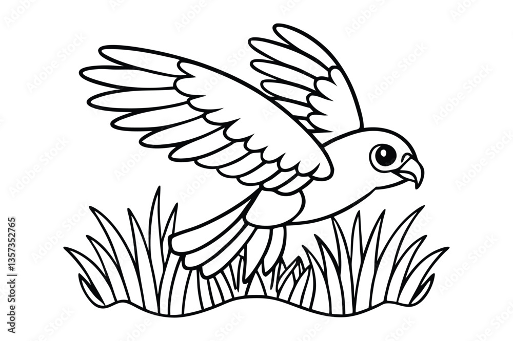 Obraz premium Bird coloring book for kids 