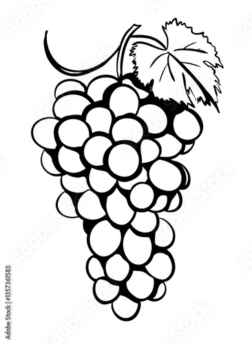 Raisin esquisse dessin vectoriel