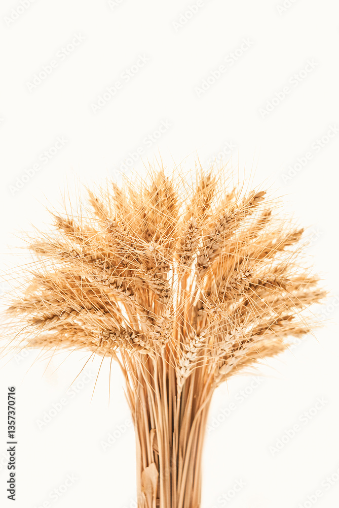Fototapeta premium Dried wheat stalks arranged in a decorative bouquet adding a rustic touch to interior decor