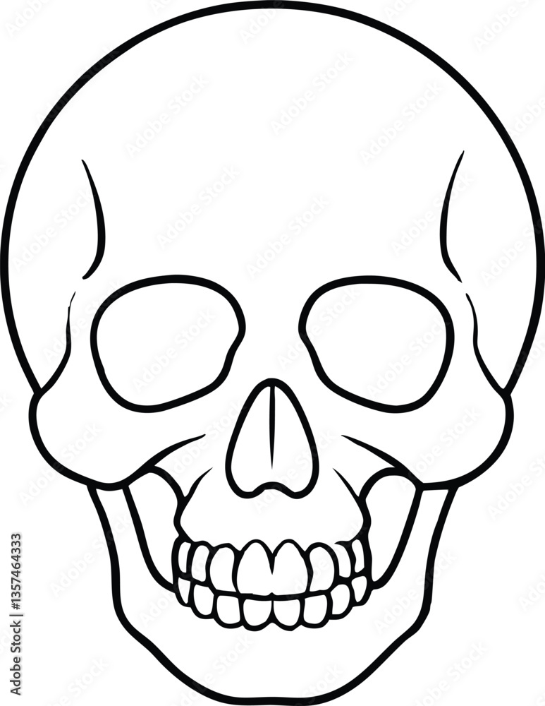 skull outline vector illustration, human skull line art vector skull outline vector illustration, human skull line art vector