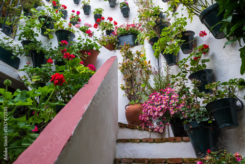 Greenery and colourful flower pots decorate the walls of courtyards and patio gardens of Cordoba, Andalusia, southern Spain. 