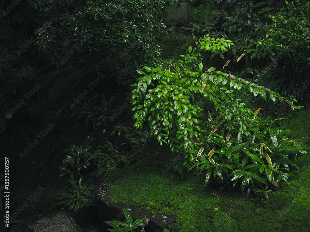Obraz premium Traditional Japanese garden art