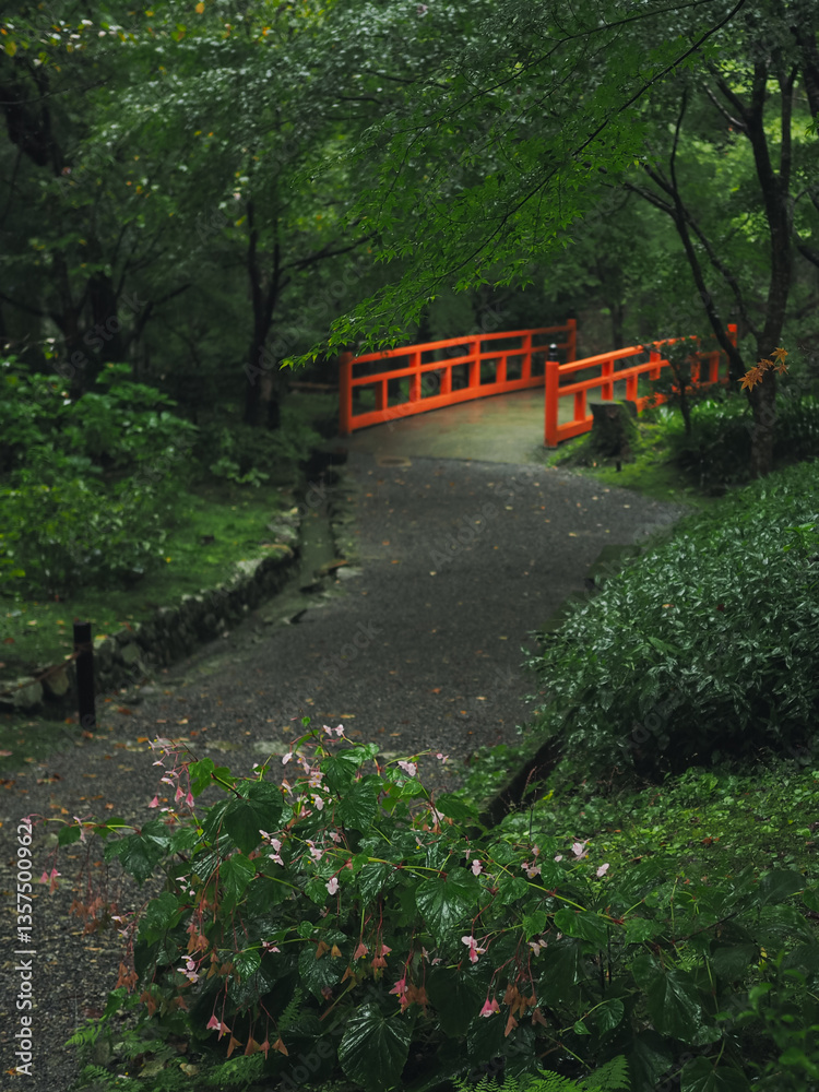 Fototapeta premium Traditional Japanese garden art