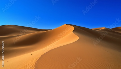 Fototapeta Naklejka Na Ścianę i Meble -   desert sand dunes