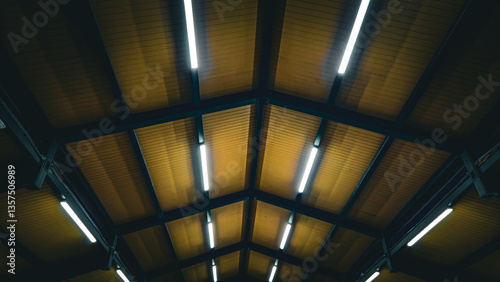 close up of a grid of metal beams supporting wood panels and long lights in an outdoor building, shelter, picnic area, or pavilion. architectural abstract background. diminishing perspective. photo
