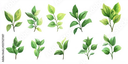 Close-up of marjoram leaves displaying gentle curves and vivid color