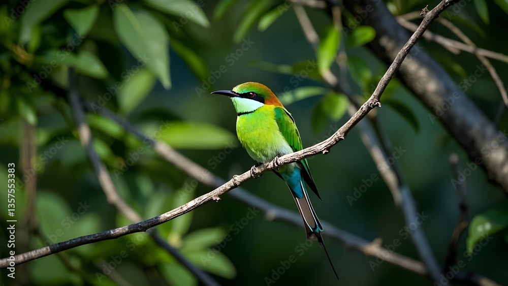 A bee-eater bird perched on a branch.