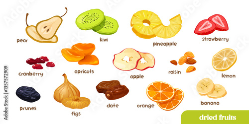 Colorful set of cartoon dried fruit with names isolated on white background.