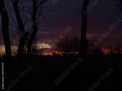 sunrise in the forest