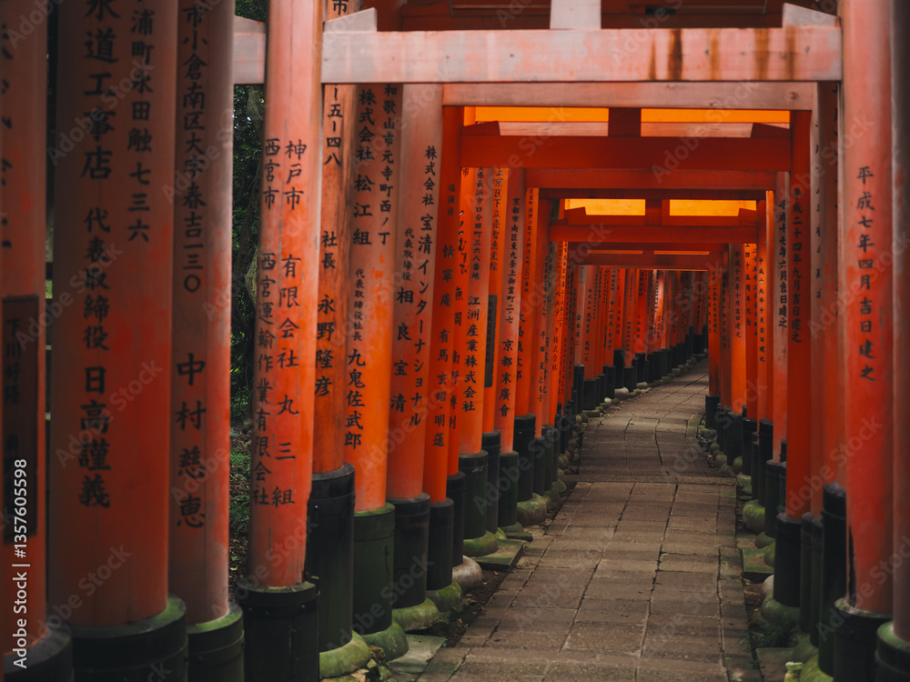 Torii in Kyoto Torii in Kyoto